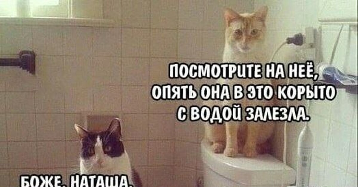 Позор Наташи | Пикабу