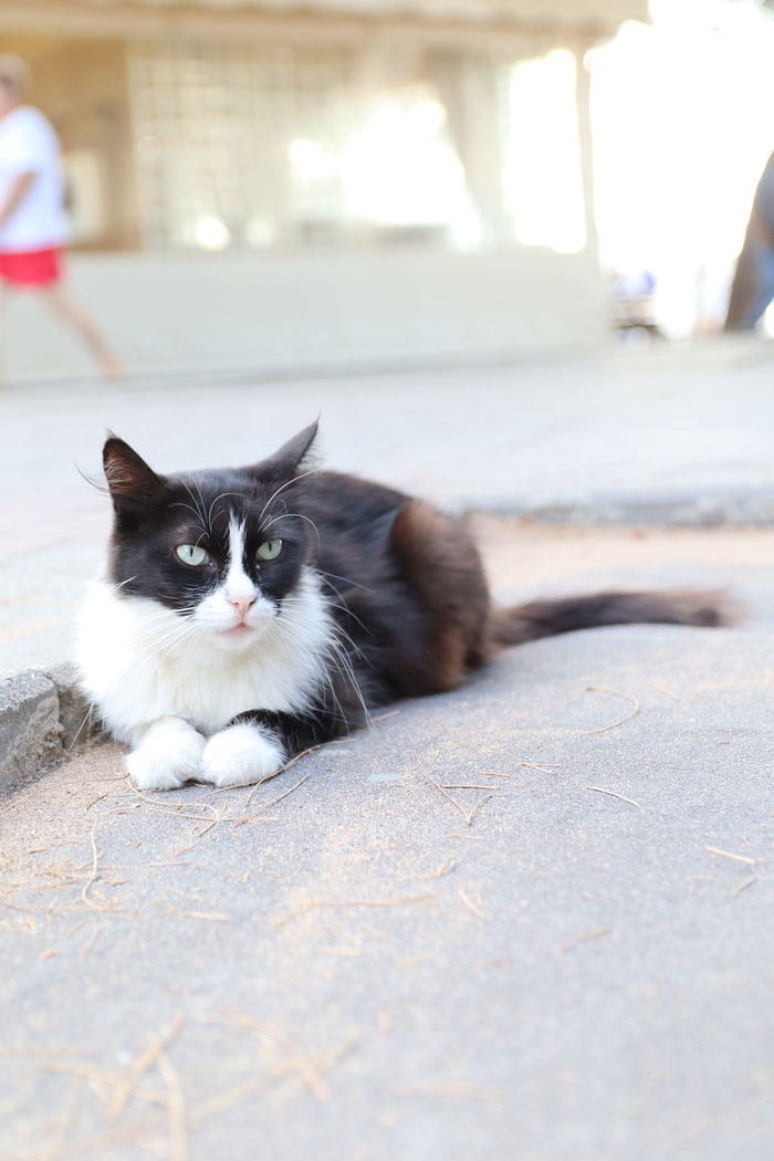 ����� ������� ���� ��������