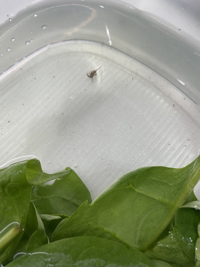 Перекресток. Тот, что SUPERмаркет | Пикабу