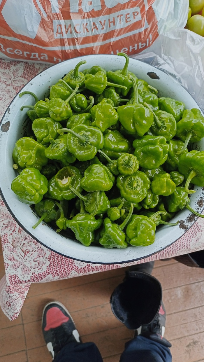 Скотч Боннет в чашке)