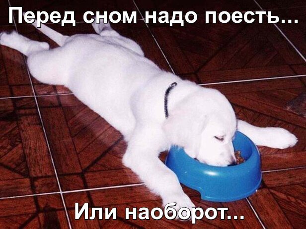 ���� � ���������� ��.