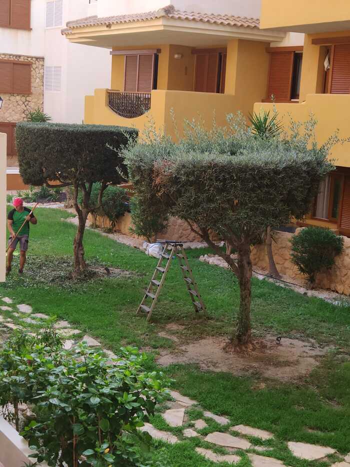 ��������� � ��������������