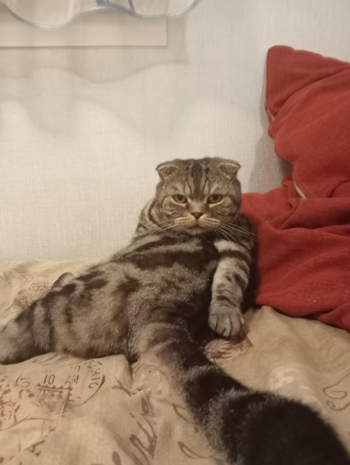 ��� �� ����������?