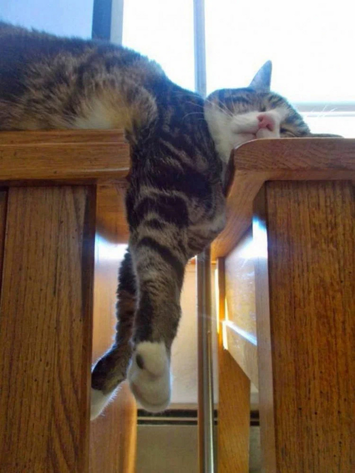 �� ���� �����