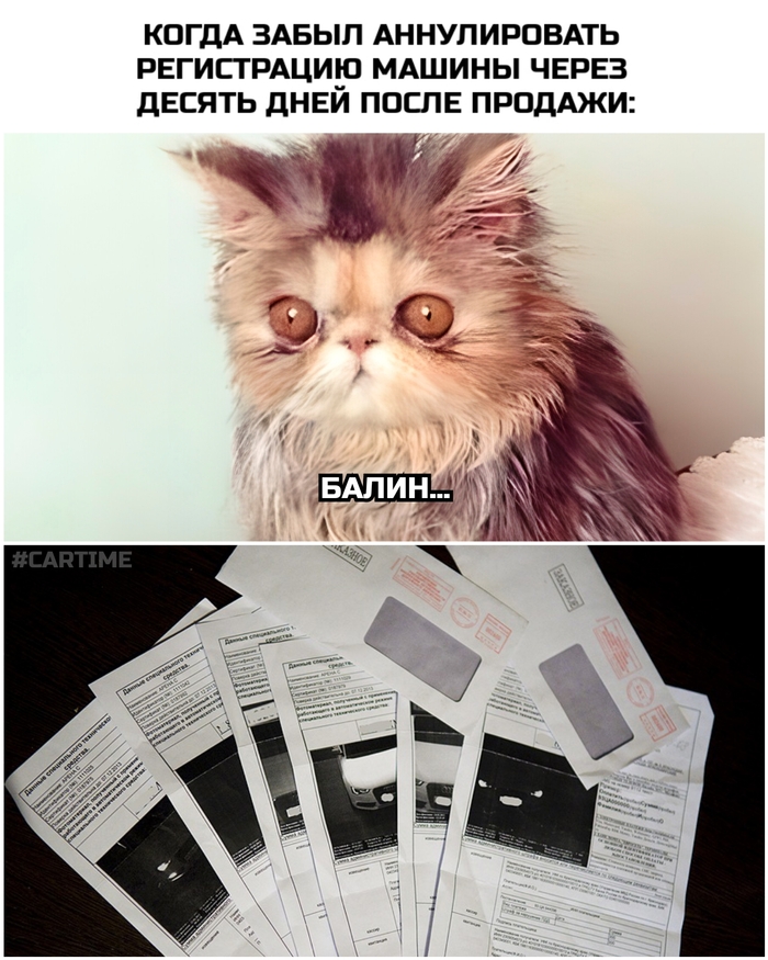 Прошляпил...