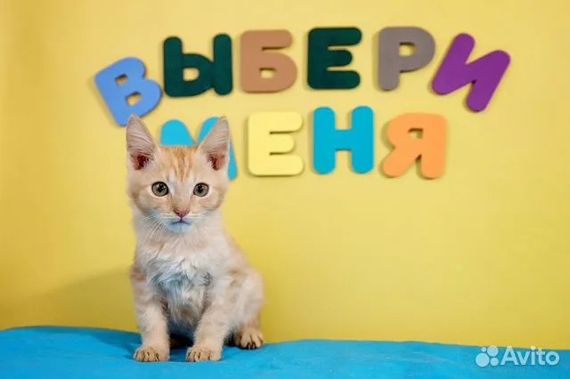 � �� ���� ������������ ��� �������� ������� �� �����