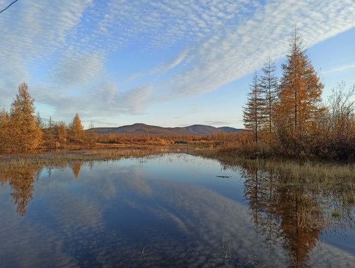 ������� ����� ������������� ��������...