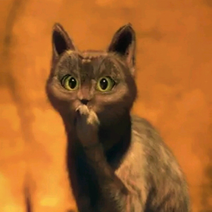 Слишком много вопросов Женщины, Аэропорт, Регистрация, Вылет, Люди