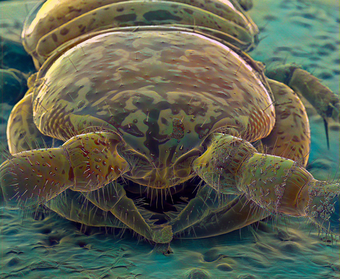 Добро пожаловать...