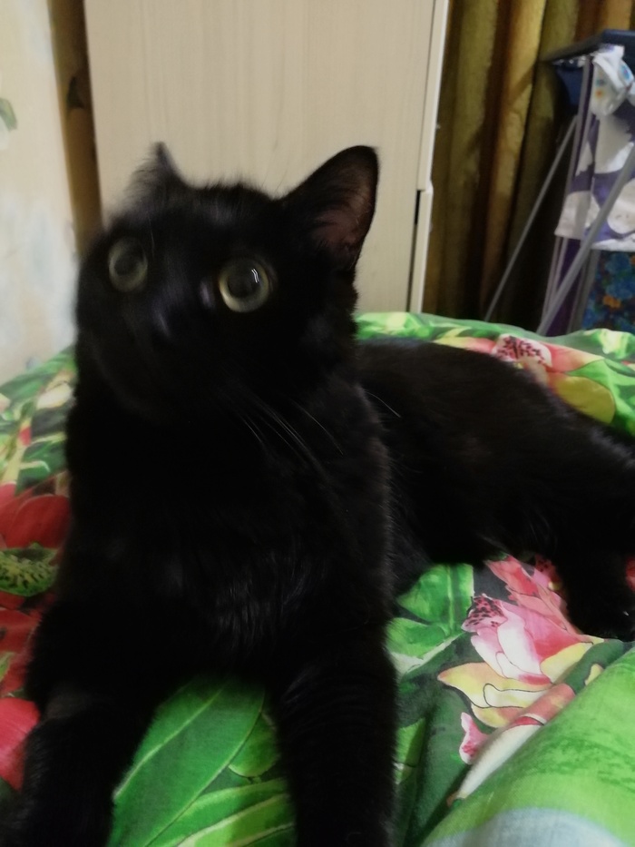    , , ,  ,  ,  
