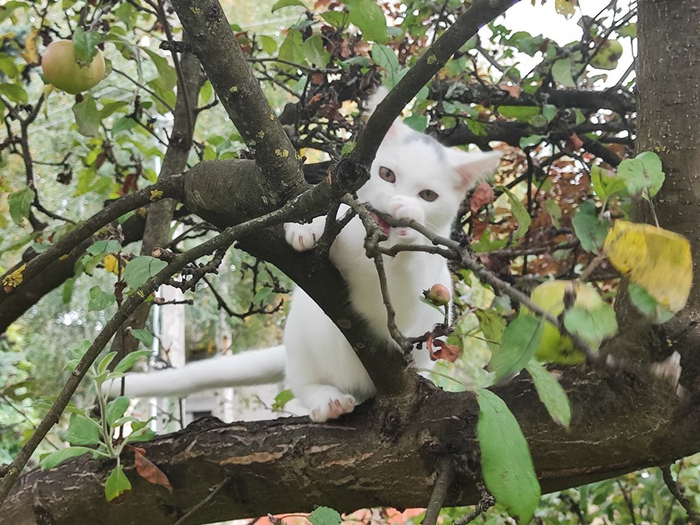 ����� ���, ��� ���� ����� ��������...