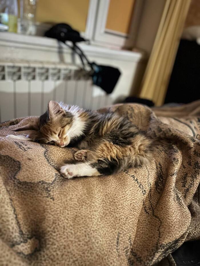 ��� 500 �����