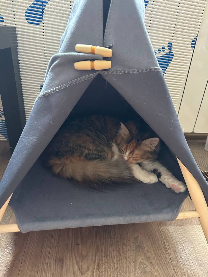 ������� wb: 174165110