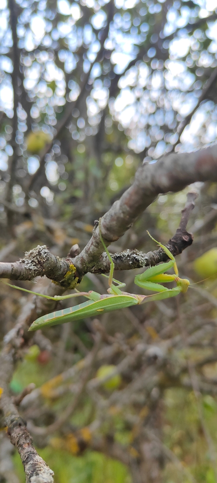 Поел и пошёл по свои делам)