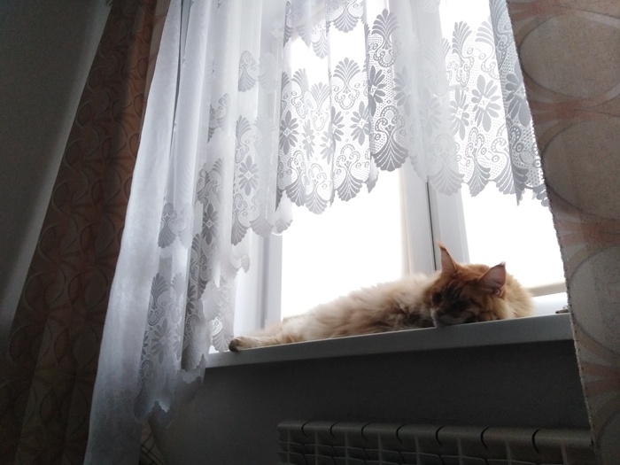     -, , 