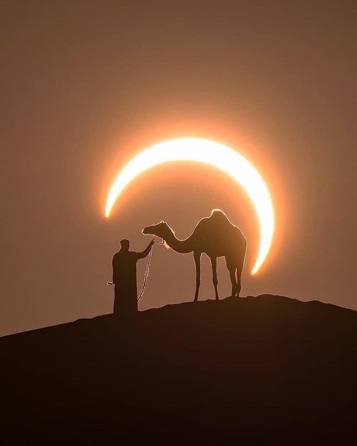 Солнечное затмение. Дубай. ОАЭ Фотография Джошуа Криппс Солнечное затмение, Дубай, Пустыня, Верблюды, Фотография, Природа, Красота