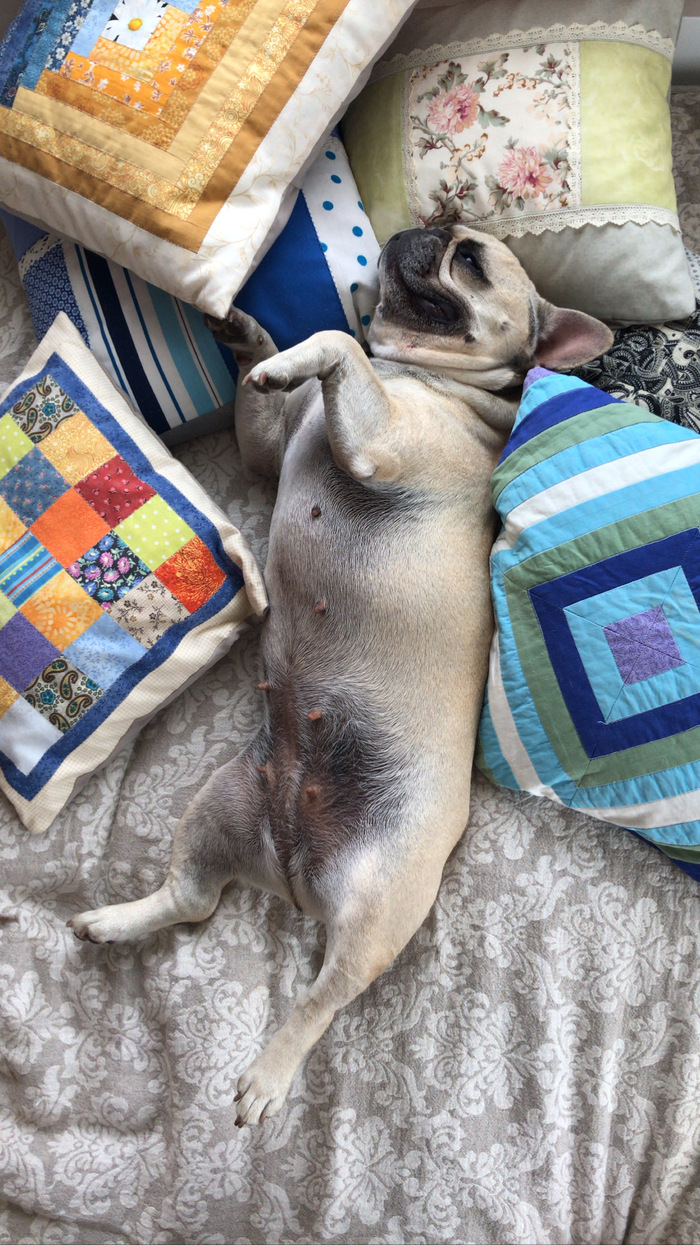 ���� �� ���� ���� ������