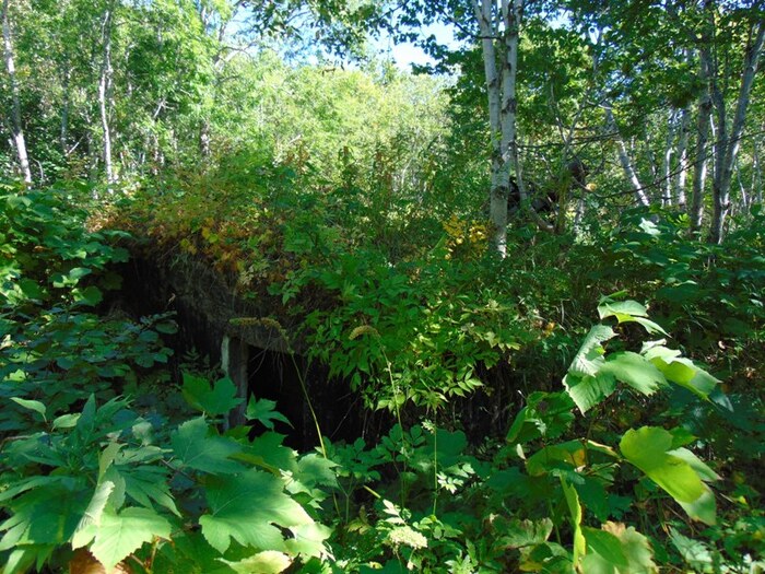     -  .       11.         .