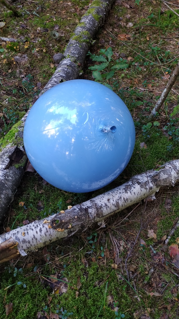 Ещё находка