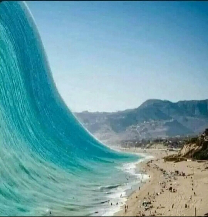 А вы бы что сделали?