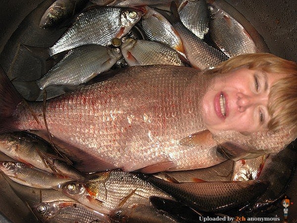 ��������������������