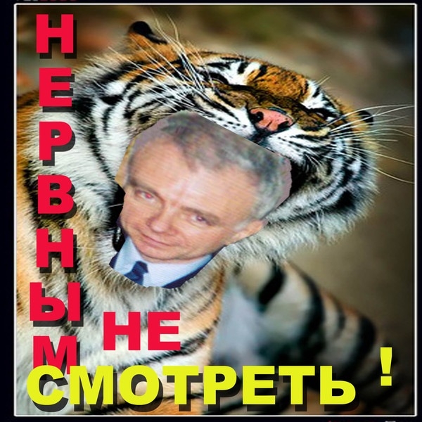 ��������������������