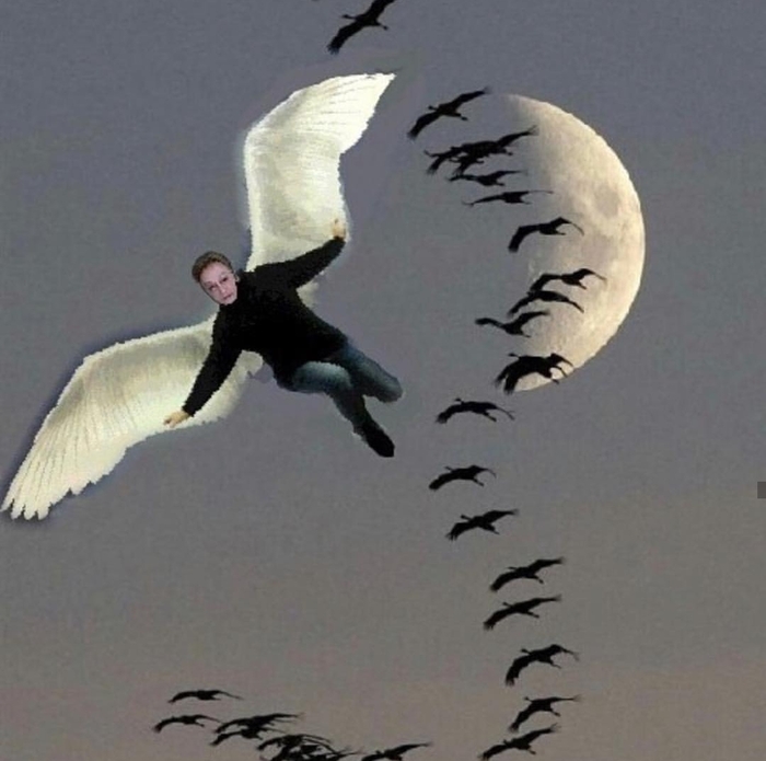 ��������������������