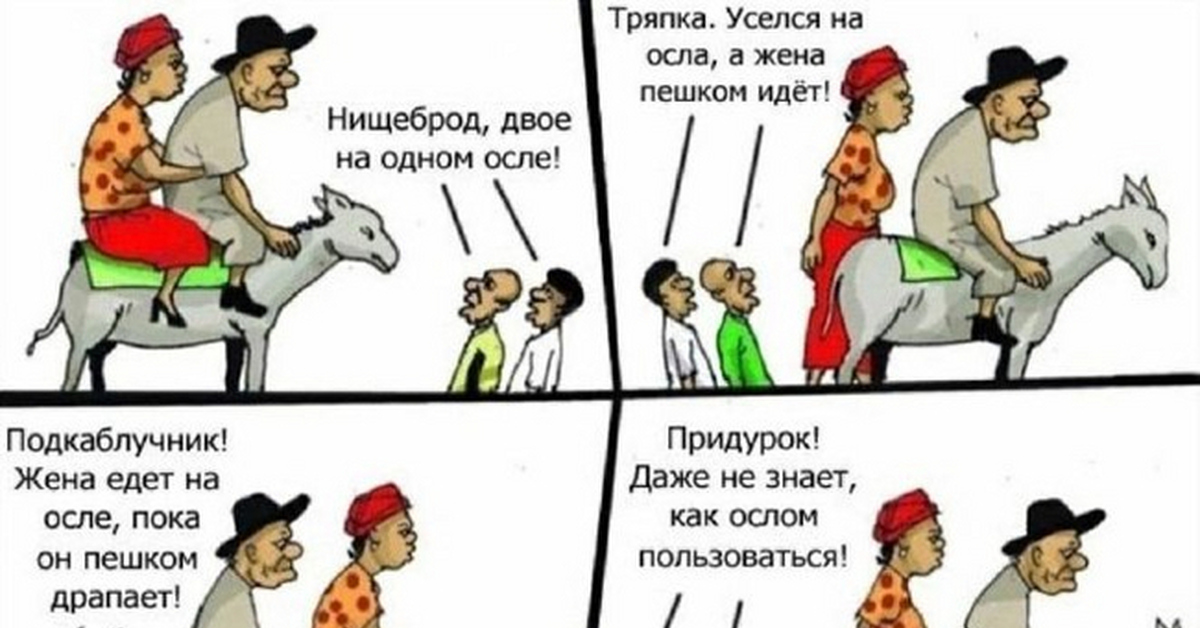 Вещие ослы обыкновенный страх альбом. Вещие ослы. Вещие ослы свидетельство о смерти. Вещие ослы текст. Вещие ослы президент похожие песни.
