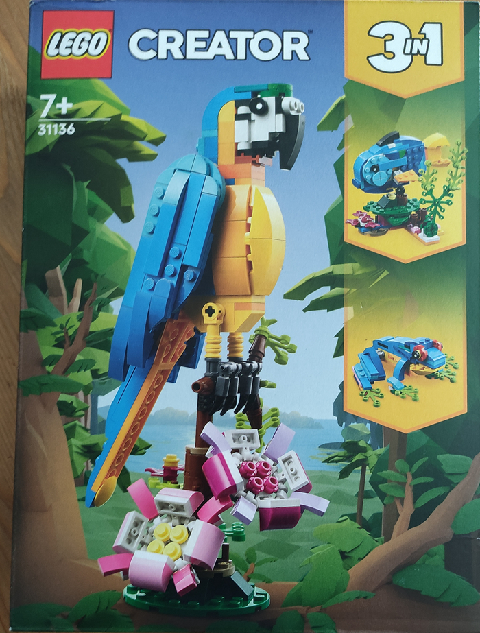 Вид спереди.