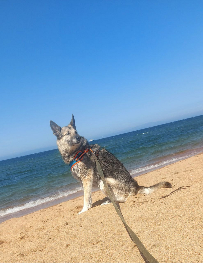 ��� ��������