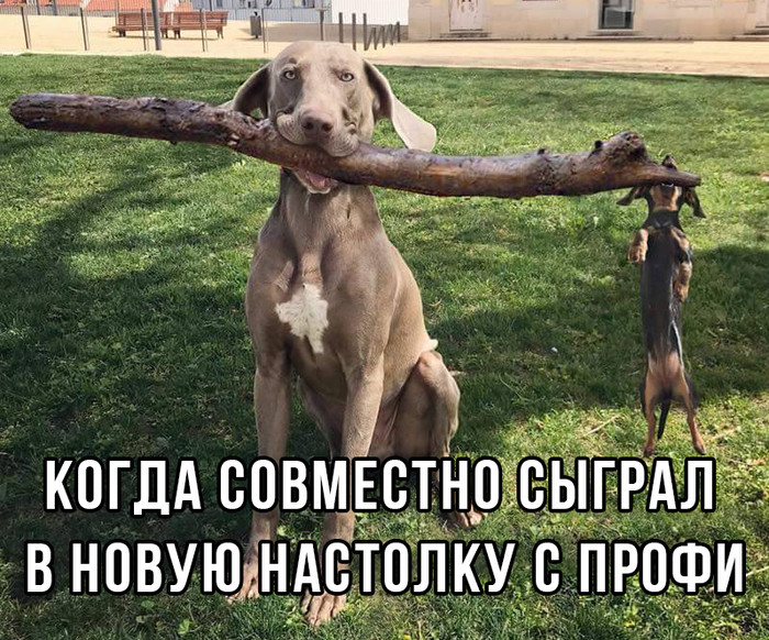 ����� ����� � ������