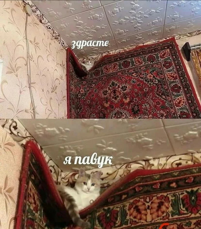 ��������������������