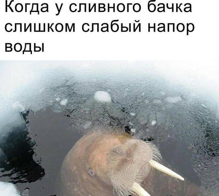 ��������������������