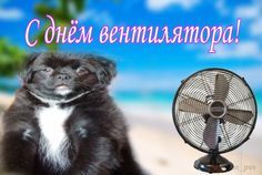 ��������������������