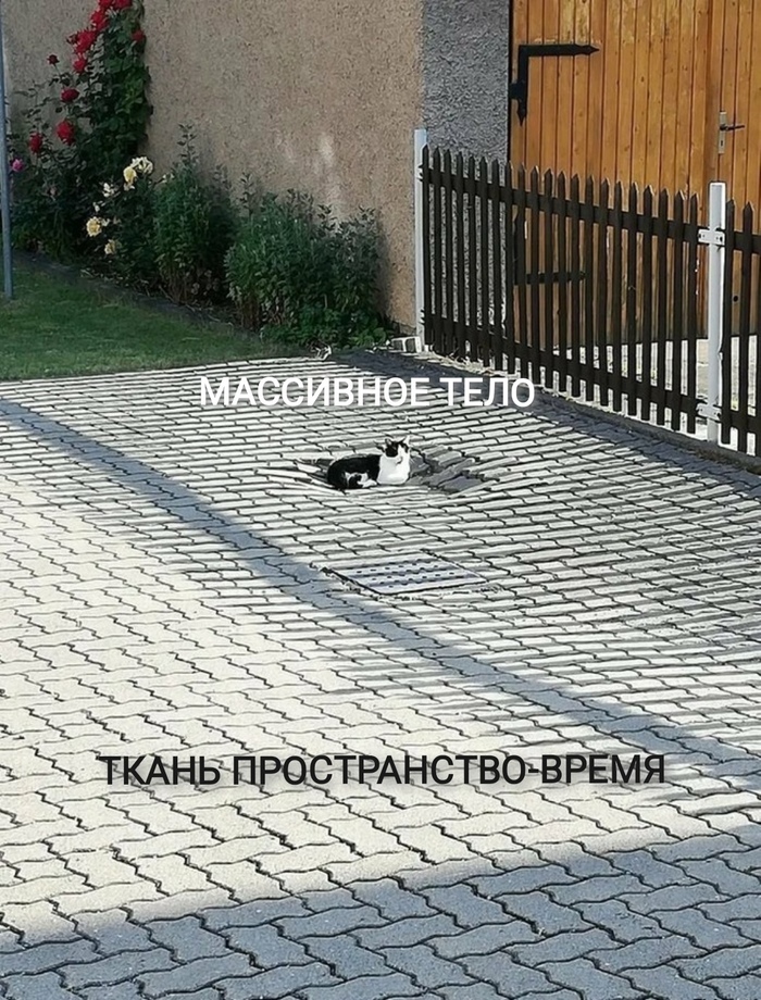 ��������������������