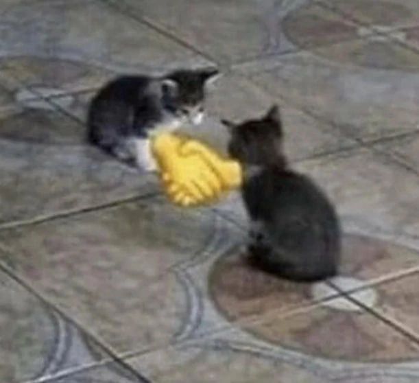 ��������������������