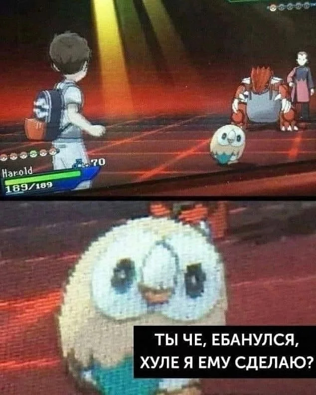 ��������������������