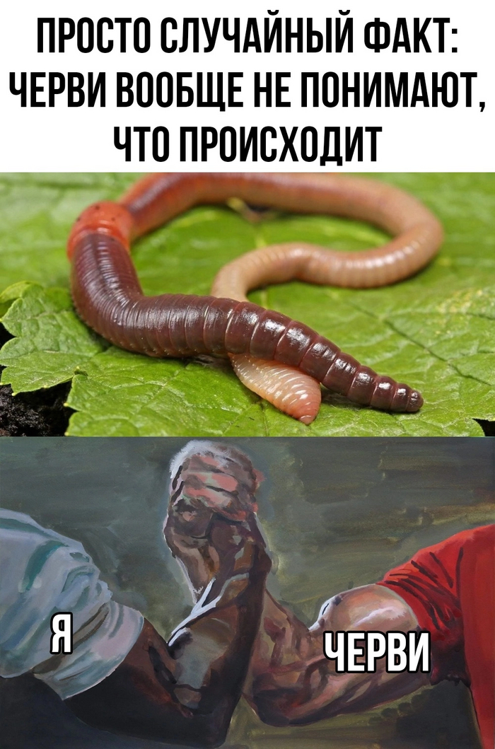     , , , , 