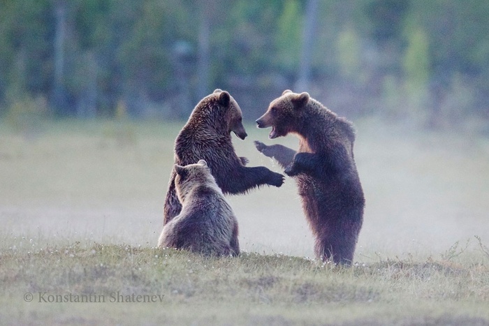 Автор фото Константин Шатенев