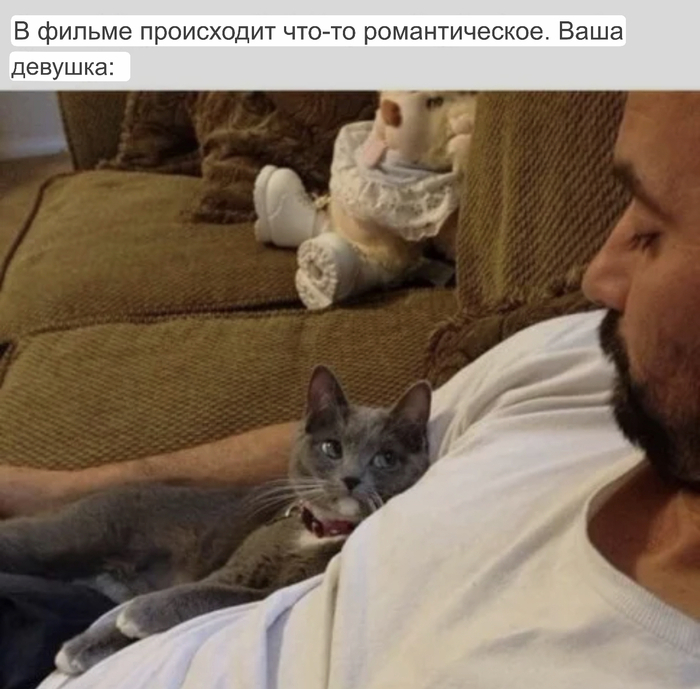 ��������������������