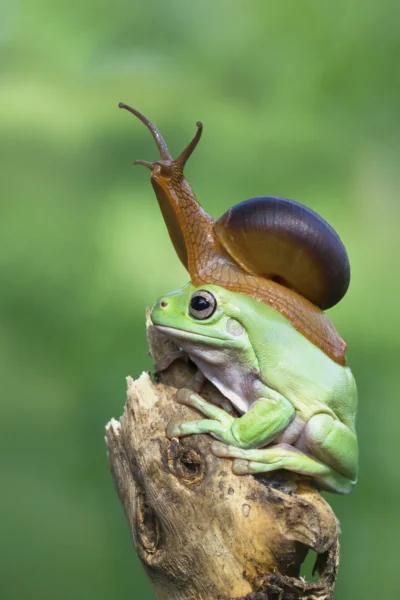 ������ ����� ������ ��� ���������� ��������� � �����������