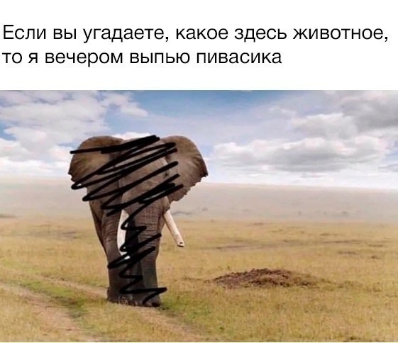 ��������������������