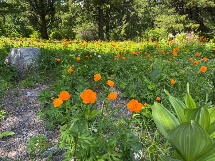 ������� "��������" ����� ���������.