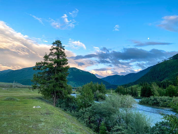 ����������� �. �����