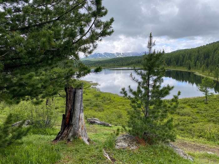 �� ������ �� ����-����