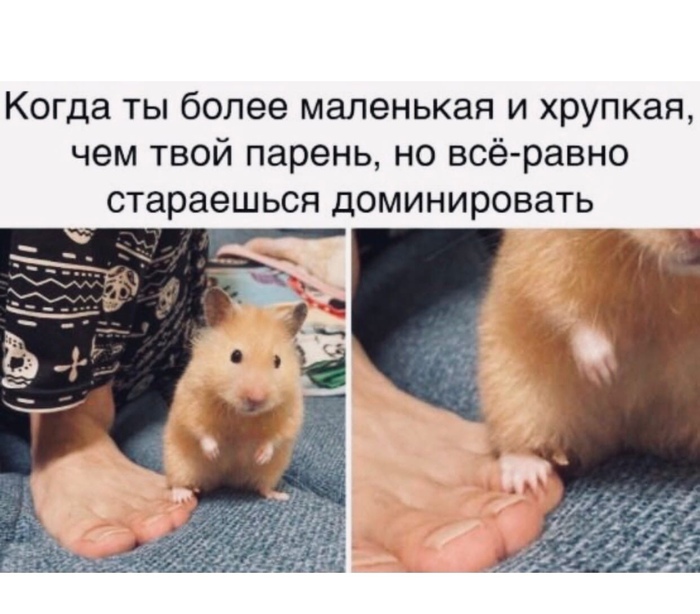 ��������������������