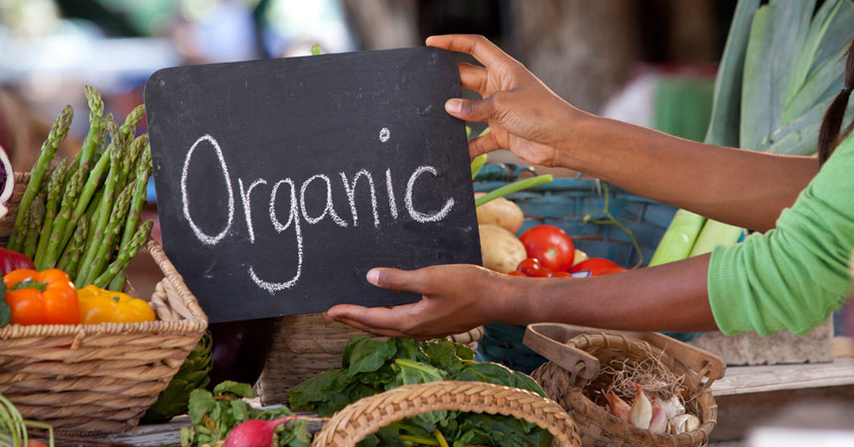 Органические продукты. Organic Farmer food sign. Organica for all. Natural News.