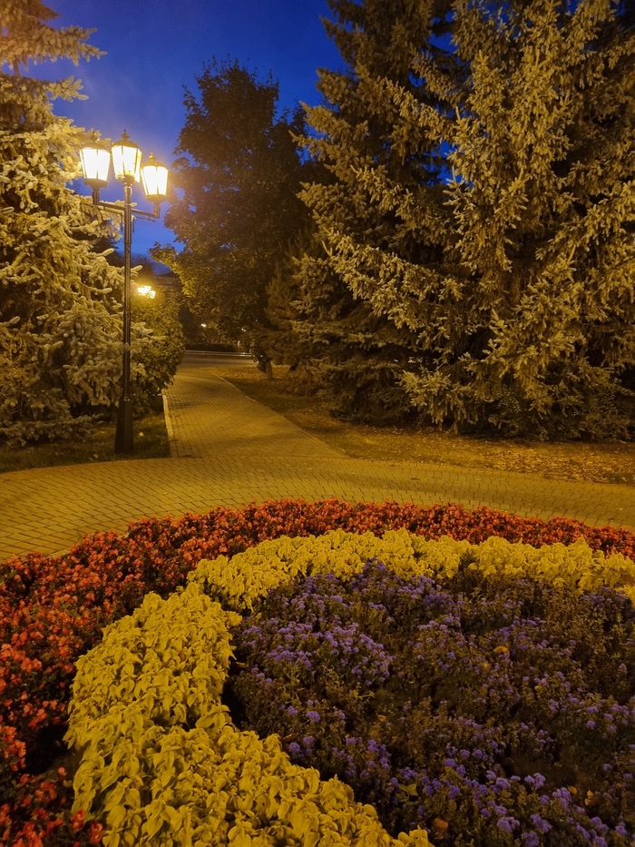 Фонарь без аптеки | Пикабу