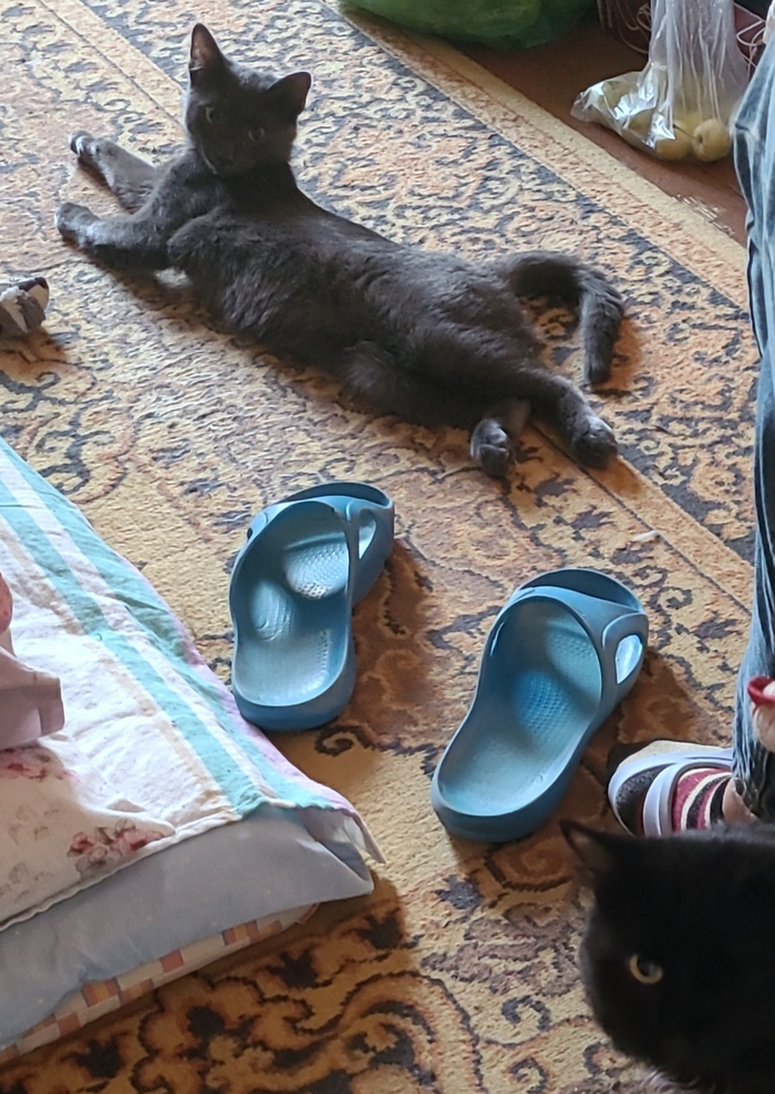 само мимирение