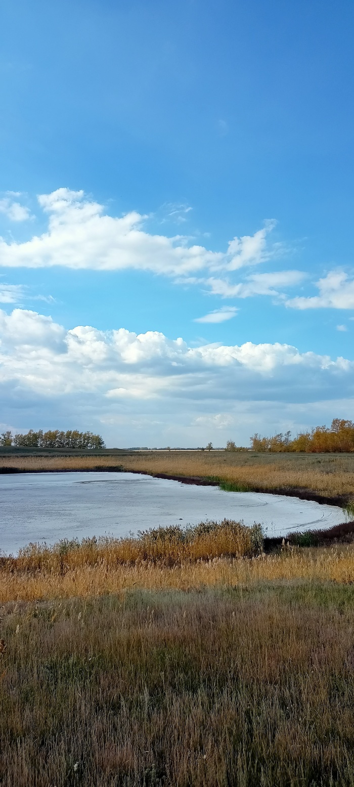 �������� �����